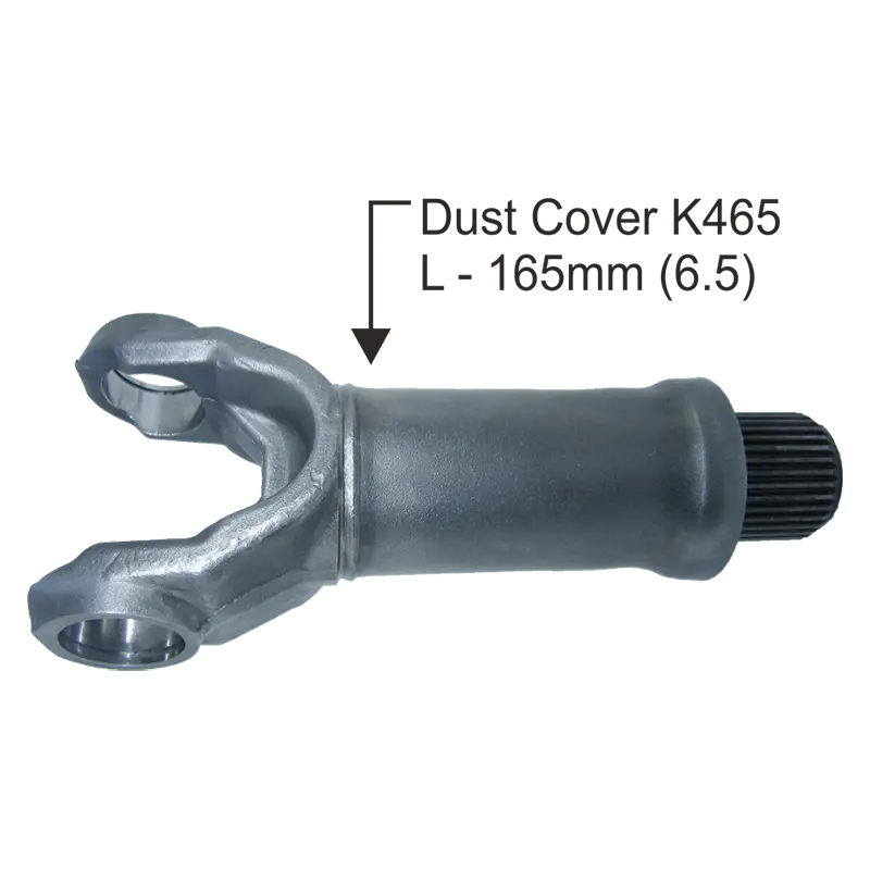 K458 or K441P